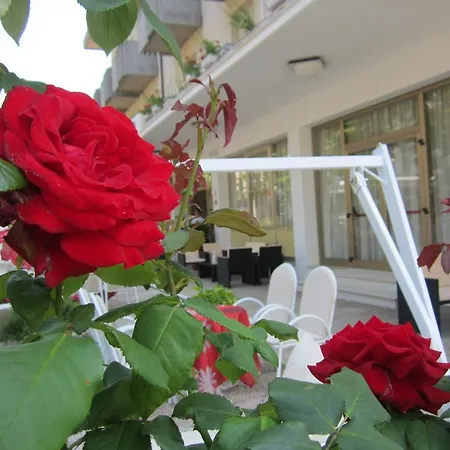 Garden Hotel 3*